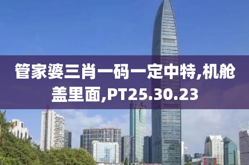 管家婆三肖一码一定中特,机舱盖里面,PT25.30.23