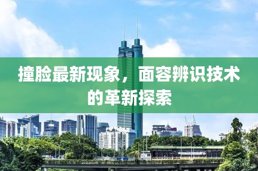 撞脸最新现象，面容辨识技术的革新探索