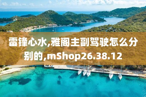 雷锋心水,雅阁主副驾驶怎么分别的,mShop26.38.12