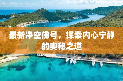 最新净空佛号，探索内心宁静的奥秘之道