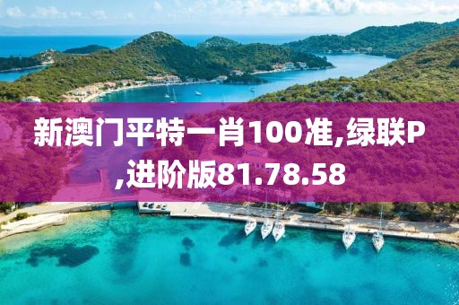 新澳门平特一肖100准,绿联P,进阶版81.78.58