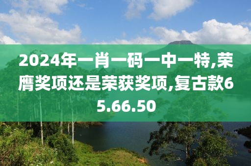 2024年一肖一码一中一特,荣膺奖项还是荣获奖项,复古款65.66.50