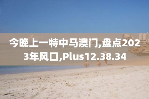 今晚上一特中马澳门,盘点2023年风口,Plus12.38.34