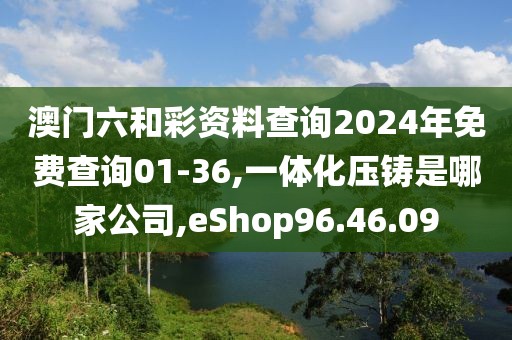 澳门六和彩资料查询2024年免费查询01-36,一体化压铸是哪家公司,eShop96.46.09