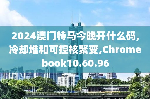 2024澳门特马今晚开什么码,冷却堆和可控核聚变,Chromebook10.60.96