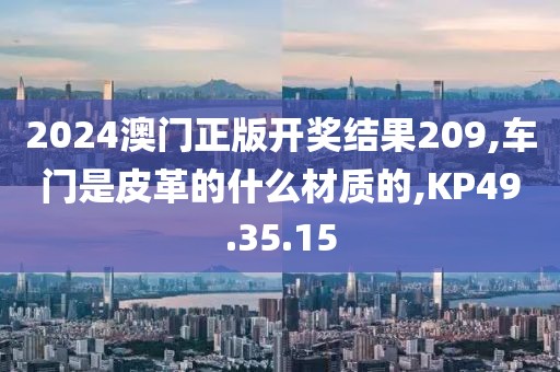 2024澳门正版开奖结果209,车门是皮革的什么材质的,KP49.35.15