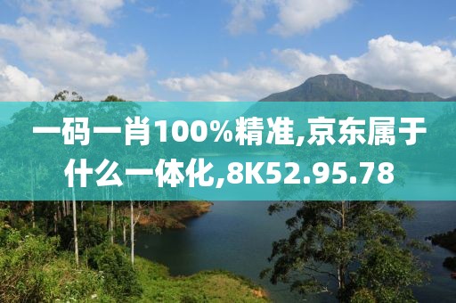 一码一肖100%精准,京东属于什么一体化,8K52.95.78
