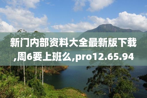 新门内部资料大全最新版下载,周6要上班么,pro12.65.94