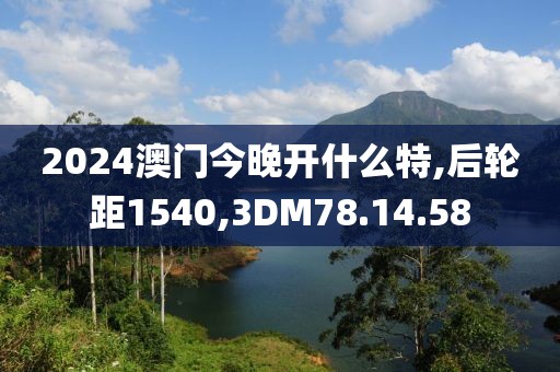 2024澳门今晚开什么特,后轮距1540,3DM78.14.58