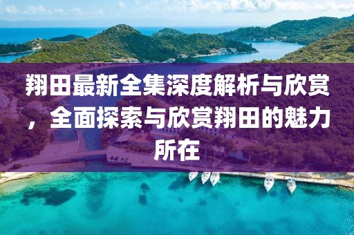 翔田最新全集深度解析与欣赏，全面探索与欣赏翔田的魅力所在