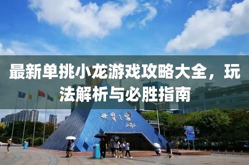 最新单挑小龙游戏攻略大全，玩法解析与必胜指南