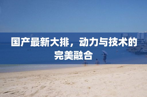 国产最新大排，动力与技术的完美融合