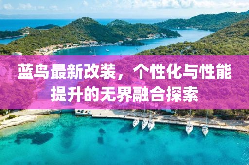 蓝鸟最新改装，个性化与性能提升的无界融合探索