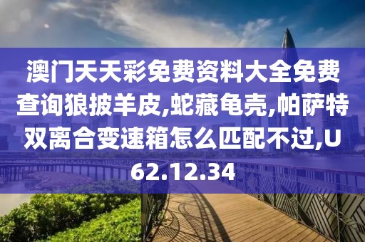 澳门天天彩免费资料大全免费查询狼披羊皮,蛇藏龟壳,帕萨特双离合变速箱怎么匹配不过,U62.12.34