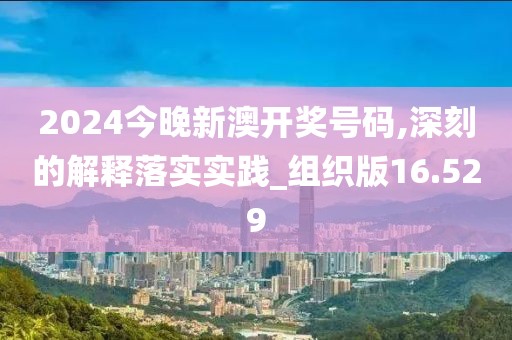 2024今晚新澳开奖号码,深刻的解释落实实践_组织版16.529
