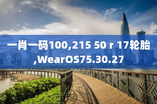 一肖一码100,215 50 r 17轮胎,WearOS75.30.27