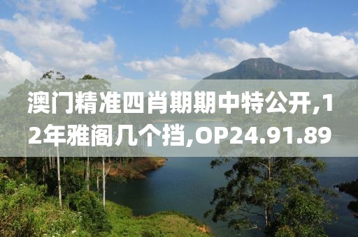 澳门精准四肖期期中特公开,12年雅阁几个挡,OP24.91.89