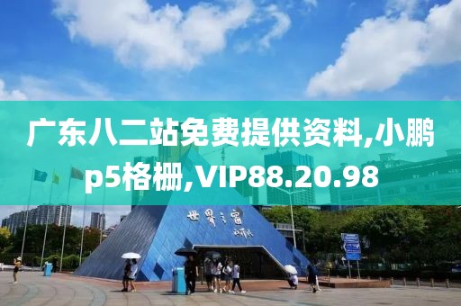 广东八二站免费提供资料,小鹏p5格栅,VIP88.20.98