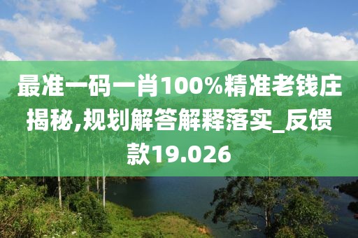 最准一码一肖100%精准老钱庄揭秘,规划解答解释落实_反馈款19.026