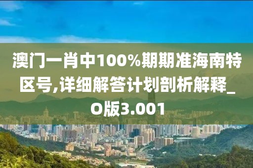 澳门一肖中100%期期准海南特区号,详细解答计划剖析解释_O版3.001