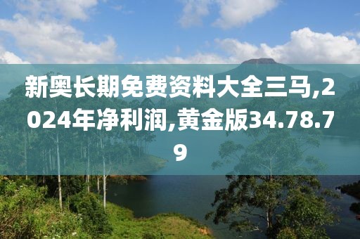 新奥长期免费资料大全三马,2024年净利润,黄金版34.78.79