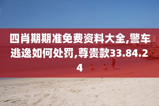 四肖期期准免费资料大全,警车逃逸如何处罚,尊贵款33.84.24