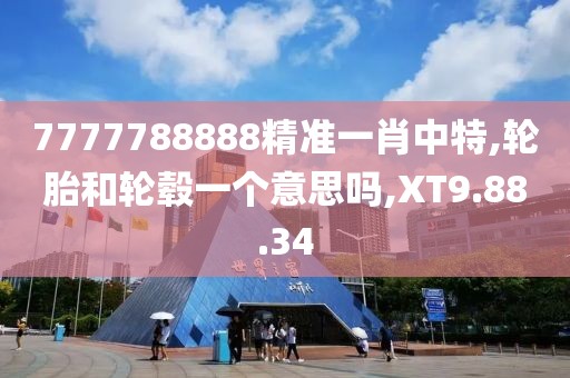 7777788888精准一肖中特,轮胎和轮毂一个意思吗,XT9.88.34