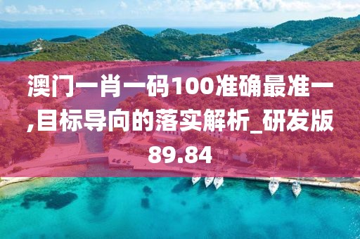澳门一肖一码100准确最准一,目标导向的落实解析_研发版89.84