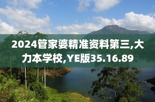 2024管家婆精准资料第三,大力本学校,YE版35.16.89