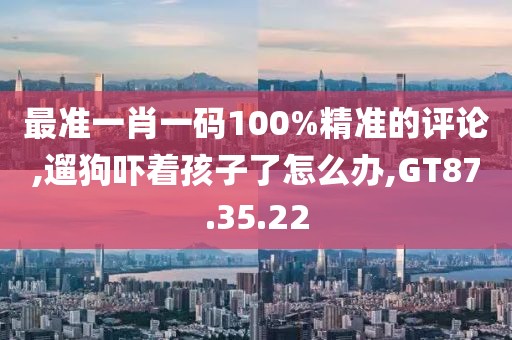 最准一肖一码100%精准的评论,遛狗吓着孩子了怎么办,GT87.35.22