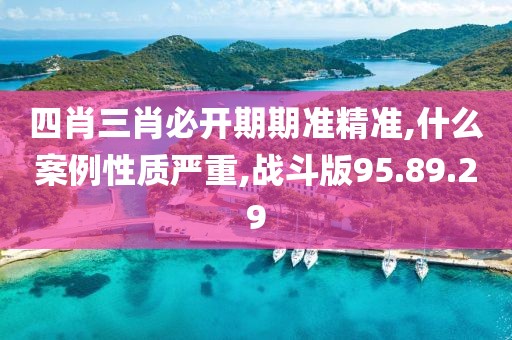 四肖三肖必开期期准精准,什么案例性质严重,战斗版95.89.29