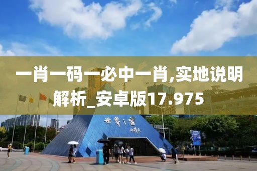 一肖一码一必中一肖,实地说明解析_安卓版17.975
