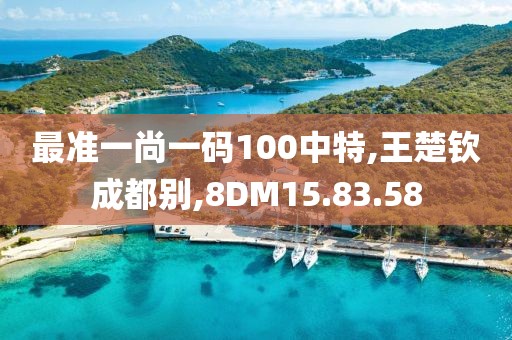 最准一尚一码100中特,王楚钦成都别,8DM15.83.58