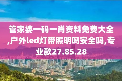 管家婆一码一肖资料免费大全,户外led灯带照明吗安全吗,专业款27.85.28