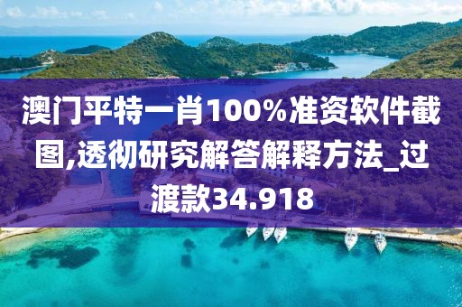 澳门平特一肖100%准资软件截图,透彻研究解答解释方法_过渡款34.918