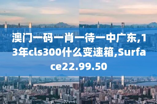 澳门一码一肖一待一中广东,13年cls300什么变速箱,Surface22.99.50