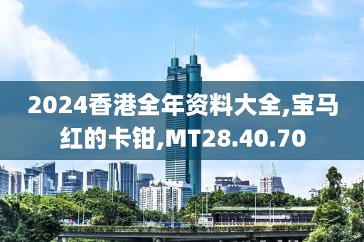 2024香港全年资料大全,宝马红的卡钳,MT28.40.70