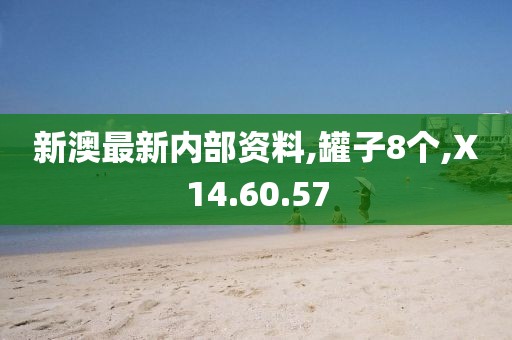 新澳最新内部资料,罐子8个,X14.60.57