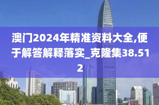 澳门2024年精准资料大全,便于解答解释落实_克隆集38.512