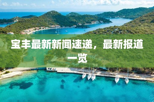 宝丰最新新闻速递，最新报道一览