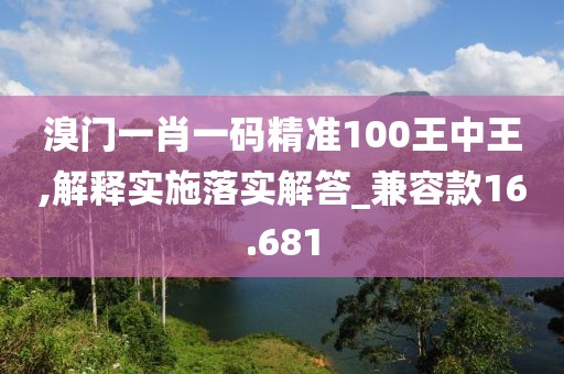 溴门一肖一码精准100王中王,解释实施落实解答_兼容款16.681