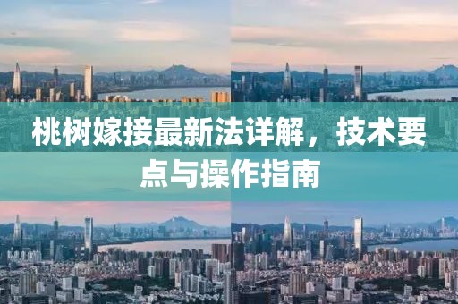 桃树嫁接最新法详解，技术要点与操作指南