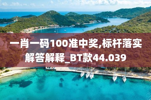 一肖一码100准中奖,标杆落实解答解释_BT款44.039