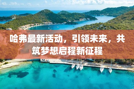 哈弗最新活动，引领未来，共筑梦想启程新征程