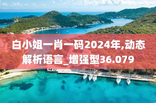 白小姐一肖一码2024年,动态解析语言_增强型36.079