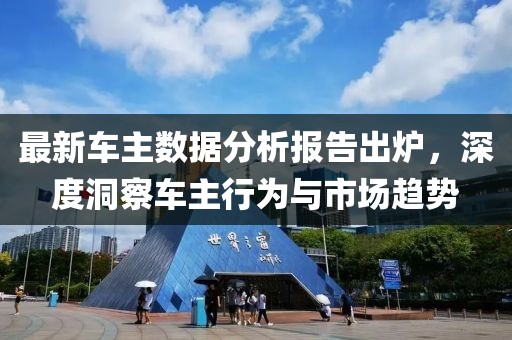 最新车主数据分析报告出炉，深度洞察车主行为与市场趋势