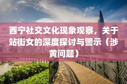 西宁社交文化现象观察，关于站街女的深度探讨与警示（涉黄问题）