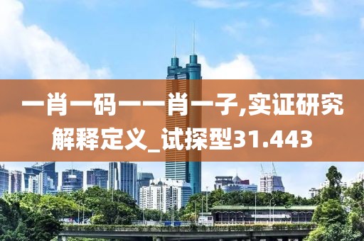一肖一码一一肖一子,实证研究解释定义_试探型31.443