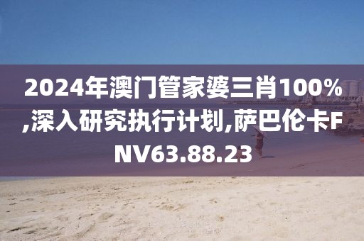 2024年澳门管家婆三肖100%,深入研究执行计划,萨巴伦卡FNV63.88.23