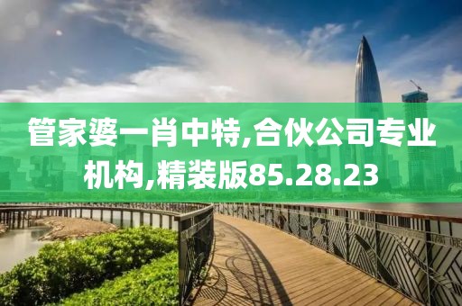 管家婆一肖中特,合伙公司专业机构,精装版85.28.23
